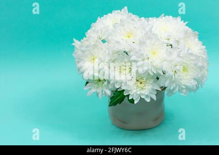 Bouquet di crisantemi bianchi in vaso di ceramica su fondo blu. Cartolina per il giorno della madre, per l'8 marzo. Bellissimi fiori di crisantemo. Luogo Foto Stock