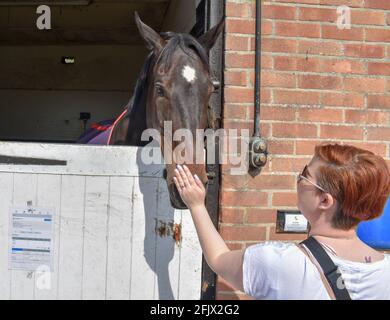 Scuderie Lamburn Horse Racing aperte giorno Foto Stock