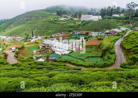 Campi di verdure e giardini da tè vicino a Nuwara Eliya città, Sri Lanka Foto Stock