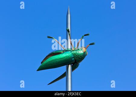 Beetle Totem (2004) del famoso artista belga Jan Fabre (1958) a Leuven/Louvain, Belgio Foto Stock