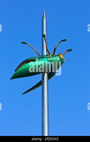 Beetle Totem (2004) del famoso artista belga Jan Fabre (1958) a Leuven/Louvain, Belgio Foto Stock