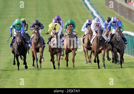 CORSE A NEWMARKET. 18/10/2008. LA DARLEY DEWHURST IN GIOCO. FUOCO INTENSO (CAPPELLINO CONTROLLATO) SUL SUO SENSO ALLA VITTORIA. IMMAGINE DAVID ASHDOWN Foto Stock