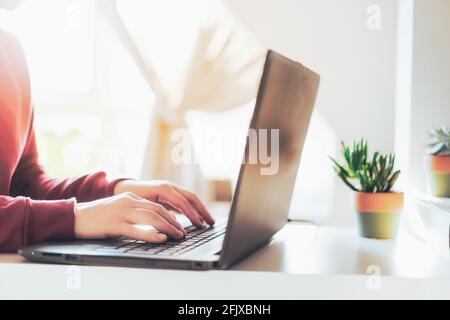 Primo piano una donna che scrive le mani sulla tastiera di un computer portatile su una scrivania bianca con una pianta succulenta. Spazio di lavoro per ambienti luminosi. Lavoro a distanza, lavoro da casa Foto Stock