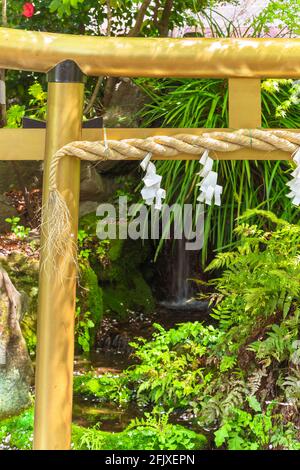 Primo piano su un cancello d'oro giapponese chiamato torii adornato con una corda di paglia sacra chiamato shimenawa contro una cascata in un giardino giapponese. Foto Stock