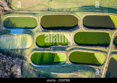 Vista dall'alto delle lagune per il trattamento delle acque reflue vicino a Georgetown, Kentucky Foto Stock