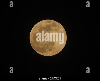 26 aprile 2021, New York, New York, Stati Uniti: NEW YORK - Super Pink Full Moon (immagine di credito: © Bruce Cotler/ZUMA Wire) Foto Stock