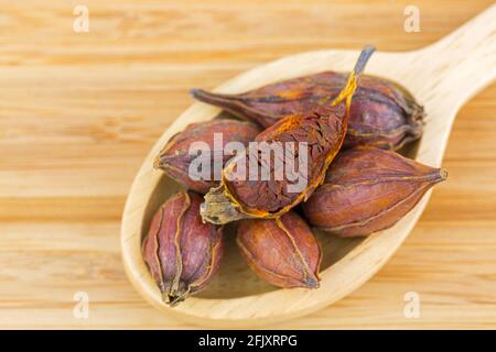 Frutta secca di Gardenia, chiamata anche gelsomino di capo, chija, utilizzata come colorante giallo, medicina tradizionale cinese (Gardenia jasminoides fruttus) Foto Stock