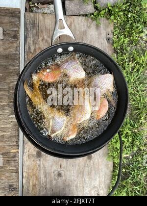 Friggere il pesce in una padella con olio in un ambiente esterno, per cena. Foto Stock