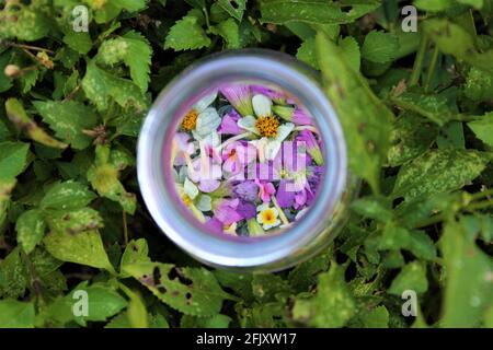 Closeup di un piccolo vaso di vetro pieno di fiori selvatici come gli aghi spagnoli, Daisies, Lantana, e Spiderwort Viola Perenne con uno sfondo sfocato Foto Stock