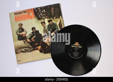 Blues rock band, The Animals, album musicale su disco LP con dischi in vinile. Intitolato: Il meglio degli animali Foto Stock