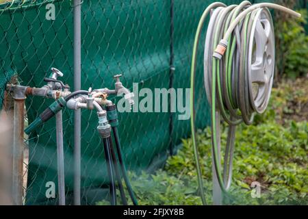 gocciolamento rubinetto in un giardino Foto Stock