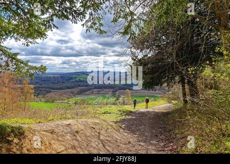 Due escursionisti anziani incorniciati da alberi sulle North Downs Percorso in una soleggiata giornata primaverile a White Downs Vicino a Dorking Surrey Inghilterra UK Foto Stock