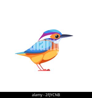 I kingfisher o Alcedinidae sono uccelli della famiglia, dai colori vivaci, nell'ordine dei Coraciiformes. Uccello cartoon piatto bellissimo carattere di ornitologia Illustrazione Vettoriale