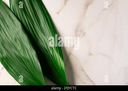 Foglie verdi tropicali composte da cornice su pietra di marmo sfondo con spazio contenuto Foto Stock