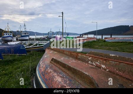 gruppo di barche nel porto di pesca. Passage East Waterford, Irlanda Foto Stock