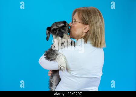 Donna anziana con carino schnauzer in miniatura tra le braccia. Isolato su sfondo blu Foto Stock