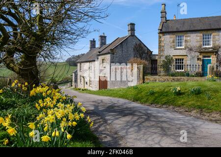 Primavera nel villaggio di Alstonefield, Peak District National Park, Staffordshire Foto Stock