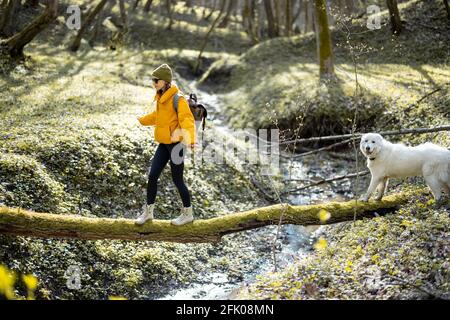 Giovane donna in abiti da trekking e zaino passare il tempo insieme con il grande cane bianco in verde primavera foresta. Gode ed esplora la natura tranquilla. Passeggiate su un albero attraverso il fiume. Foto Stock