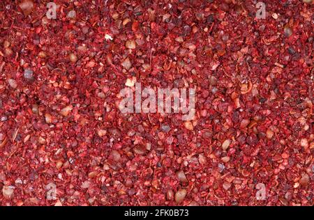 Riprese macro e vista dall'alto delle bacche di sumac macinate dalla Turchia nei dettagli con un ingrandimento molto vicino. Foto Stock