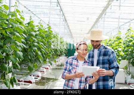 coppia di agricoltori multietnici che guardano al tablet digitale in serra Foto Stock