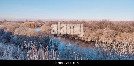Fiume Siberiano Vagai in prima mattina. L'erba e i cespugli sono ricoperti di gelo. Paesaggio primaverile. Foto Stock