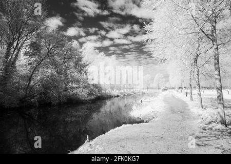 Infra immagine rossa del fiume Chelmer in Essex, vicino a Little Baddow in una luminosa e soleggiata mattina di aprile Foto Stock