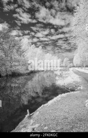 Infra immagine rossa del fiume Chelmer in Essex, vicino a Little Baddow in una luminosa e soleggiata mattina di aprile Foto Stock