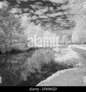 Infra immagine rossa del fiume Chelmer in Essex, vicino a Little Baddow in una luminosa e soleggiata mattina di aprile Foto Stock