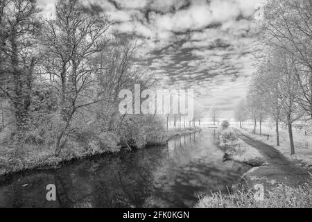 Infra immagine rossa del fiume Chelmer in Essex, vicino a Little Baddow in una luminosa e soleggiata mattina di aprile Foto Stock