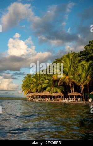 Starfish Beach all'alba, Bocas del Toro isola, Panama, America Centrale Foto Stock