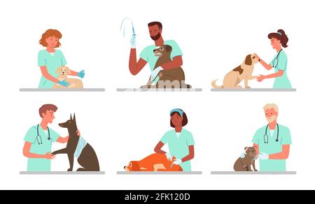 Gli appuntamenti dei cani dei pazienti in clinica veterinaria, il medico veterinario che lavora, tenendo il doggy triste Illustrazione Vettoriale