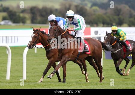 Great Bear e Darragh o'Keeffe (a destra) tornare a casa per vincere la conversazione dire Sì alla donazione di organi Novice handicap hurdle durante il giorno uno del Punchestown Festival presso l'ippodromo di Punchestown nella contea di Kildare, Irlanda. Data di emissione: Martedì 27 aprile 2021. Foto Stock