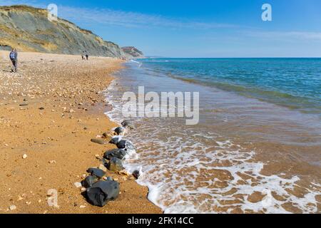 Cacciatori di fossili sulla spiaggia di Charmouth, sulla Jurassic Coast. Dorset, Inghilterra Foto Stock