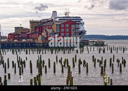 Nave da crociera Holland America MS Zaandam dietro Cannery Pier Hotel & Spa ad Astoria - Columbia River, Oregon Stati Uniti. 16 settembre 2013 Foto Stock