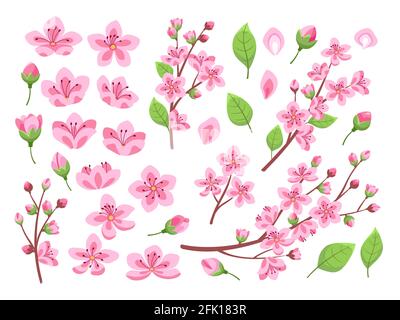 Sakura fiorisce. Ciliegio asiatico, fiori di pesca. Giardino isolato di mandorle o piante di parco. Petalo floreale rosa in erba e rami, insieme vettore foglia Illustrazione Vettoriale