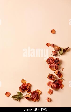 Bella composizione botanica layout creativo con petali secchi rose fiori su sfondo beige. Disposizione piatta, spazio di copia Foto Stock