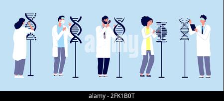 Ricerca sul DNA. Scienziati che studiano molecole. Struttura umana, ingegneria genetica ed esperimenti scientifici. Vettore dei lavoratori di laboratorio medico Illustrazione Vettoriale
