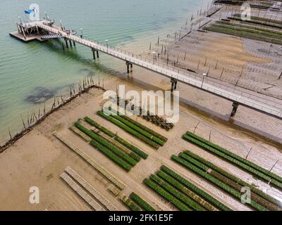 Vista aerea dei parchi di ostriche nel bassin d'Arcachon, Gironda, Francia Foto Stock