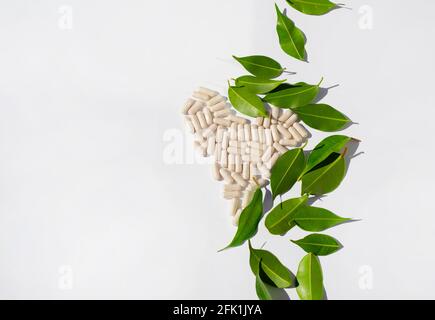 Cuore fatto da pillole di capsula e foglie verdi su uno sfondo bianco. Spazio di copia per il testo. Foto Stock