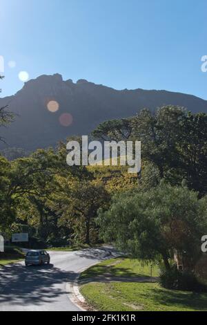 Una strada panoramica passa accanto alle aziende vinicole nel sobborgo di Constantia, Città del Capo, Sud Africa. Foto Stock