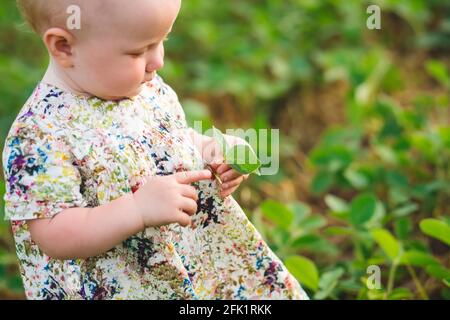 la bambina in un vestito mostra il dito sullo germoglio di soia in mani. Glicina max, soia, germogli di soia che crescono fagioli di soia su scala. Soia agricola pla Foto Stock