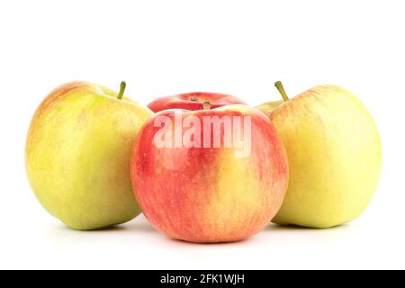 Diverse mele mature su sfondo bianco. Primo piano. Spazio di copia. Foto Stock