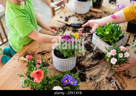 Hobby educativi, sviluppo della famiglia con i bambini Foto Stock