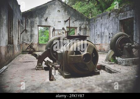 Vecchia e abbandonata fabbrica che ha ancora molto vecchi macchinari, vecchie strutture che si trovano nel mezzo della foresta Foto Stock