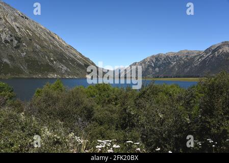 Uno splendido paesaggio panoramico delle montagne, dei laghi e dei fiori selvatici delle Alpi meridionali nel sud della Nuova Zelanda. Foto Stock