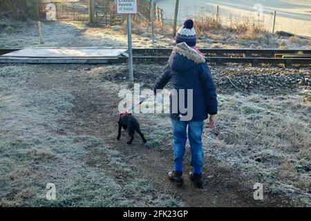 Boy Walking Black Labrador Puppy, Esk Valley, Moors National Park Center, Capodanno 2019 Foto Stock