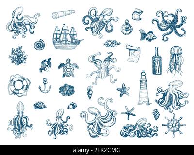 Illustrazioni marine. Octopus nautico Set gusci calamari selvatici mostro kraken vettore Collezione disegnata a mano Illustrazione Vettoriale