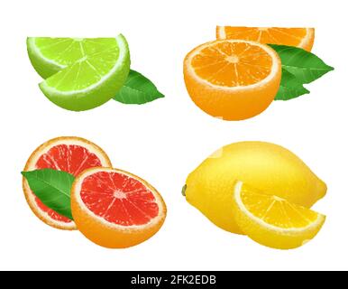 Prodotti a base di agrumi. Lime limone pompelmo e arancia frutti sani vettore cibo realistico immagine Illustrazione Vettoriale