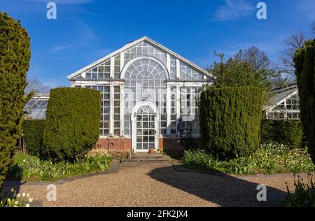 Una serra vintage dilapidata, vista in aprile al festival primaverile dei tulipani di Dunsborough Park, Ripley, Surrey, nel sud-est dell'Inghilterra Foto Stock