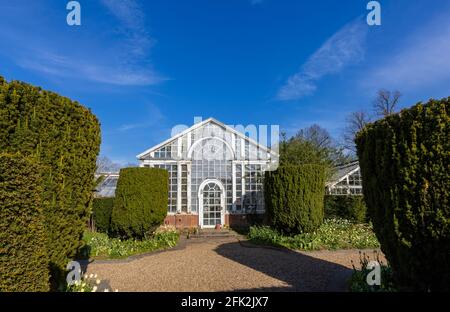 Una serra vintage dilapidata, vista in aprile al festival primaverile dei tulipani di Dunsborough Park, Ripley, Surrey, nel sud-est dell'Inghilterra Foto Stock